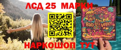 прущие грибы Дубна