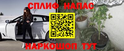 прущие грибы Дубна