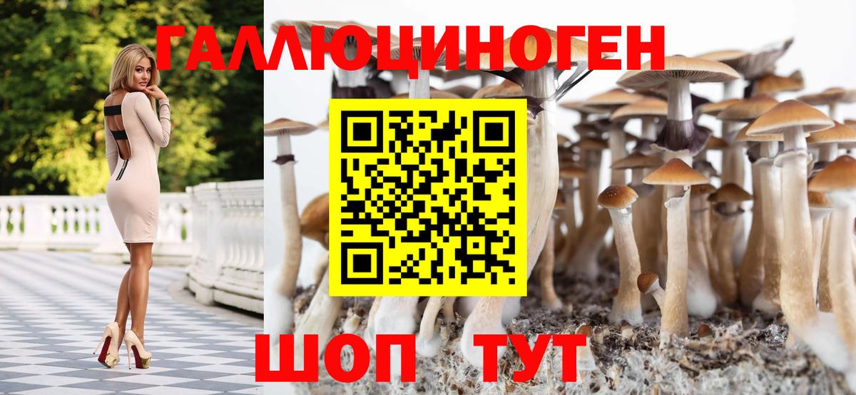 Галлюциногенные грибы Cubensis Петропавловск-Камчатский