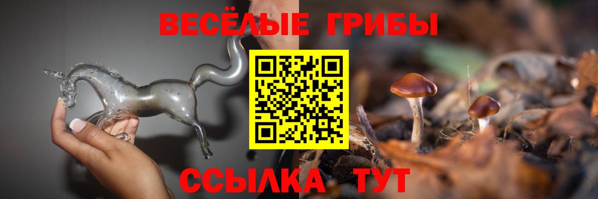 Псилоцибиновые грибы Cubensis  Псилоцибиновые грибы Psilocybe  Петропавловск-Камчатский  Вход с VPN 